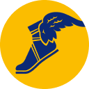 Goodyear India