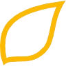 Syngenta India
